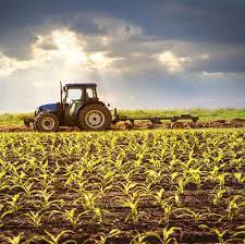 کارآفرینی روستایی