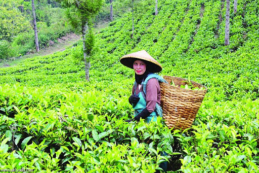 چگونه به کارمندان خود ارزش دهیم؟