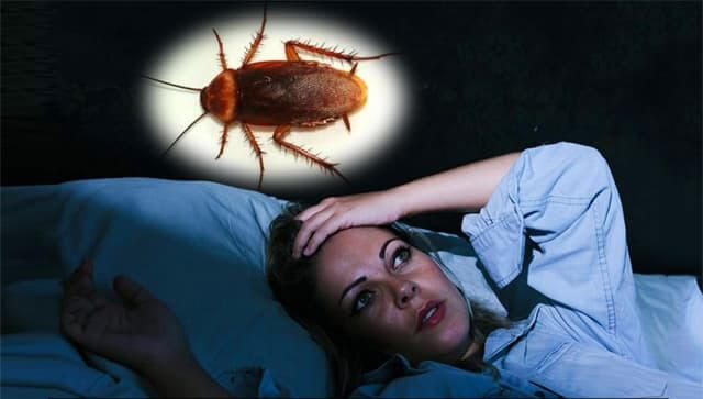 ربات گیرنده سوسک