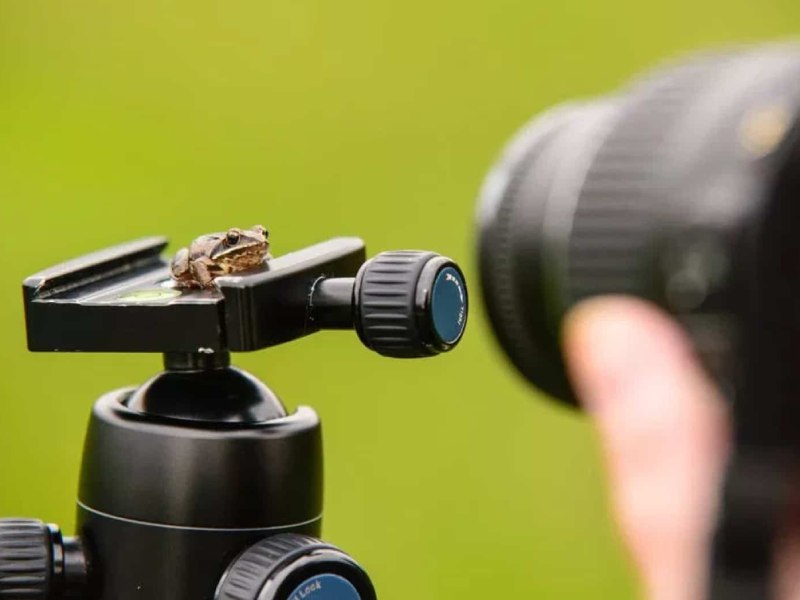 عکاسی ماکرو چیست؟