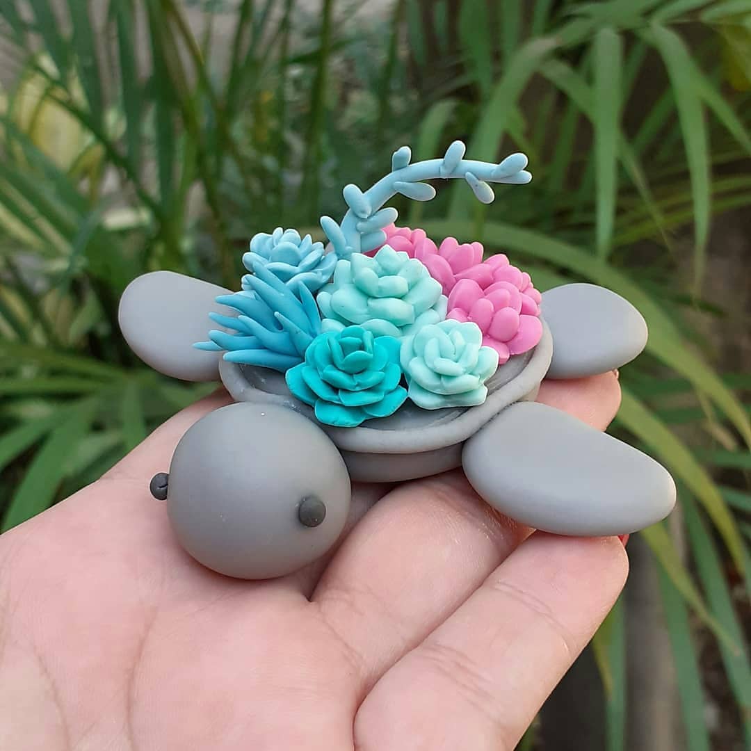 پرورش کاکتوس زینتی