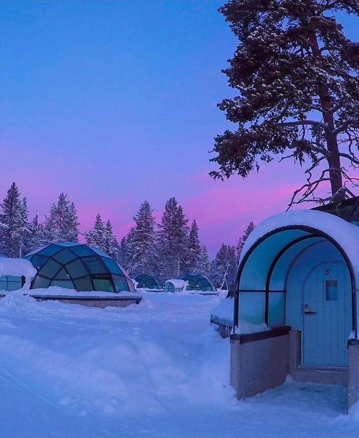 شب های هتل اسکیمویی