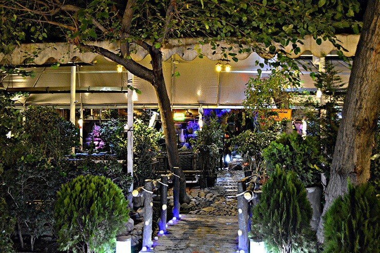 درخت پرتقال در کافی شاپ