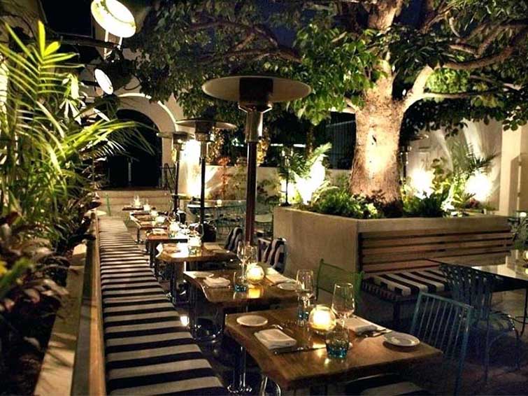 کافی شاپ جنگلی