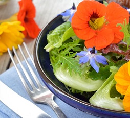 پرورش گل های خوراکی