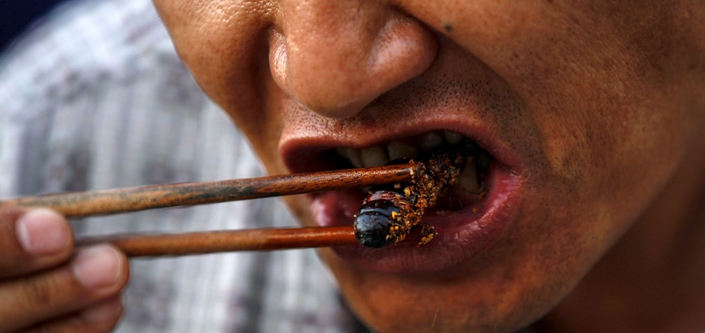 حشرات خوراکی