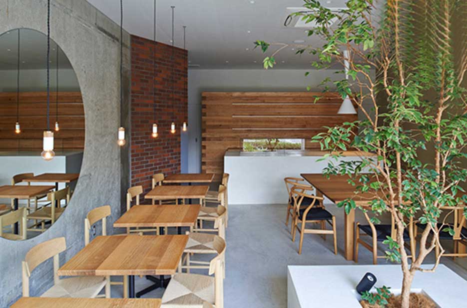 درخت پرتقال در کافی شاپ