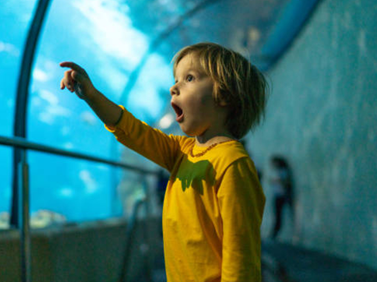 از نقاشی تا واقعیت