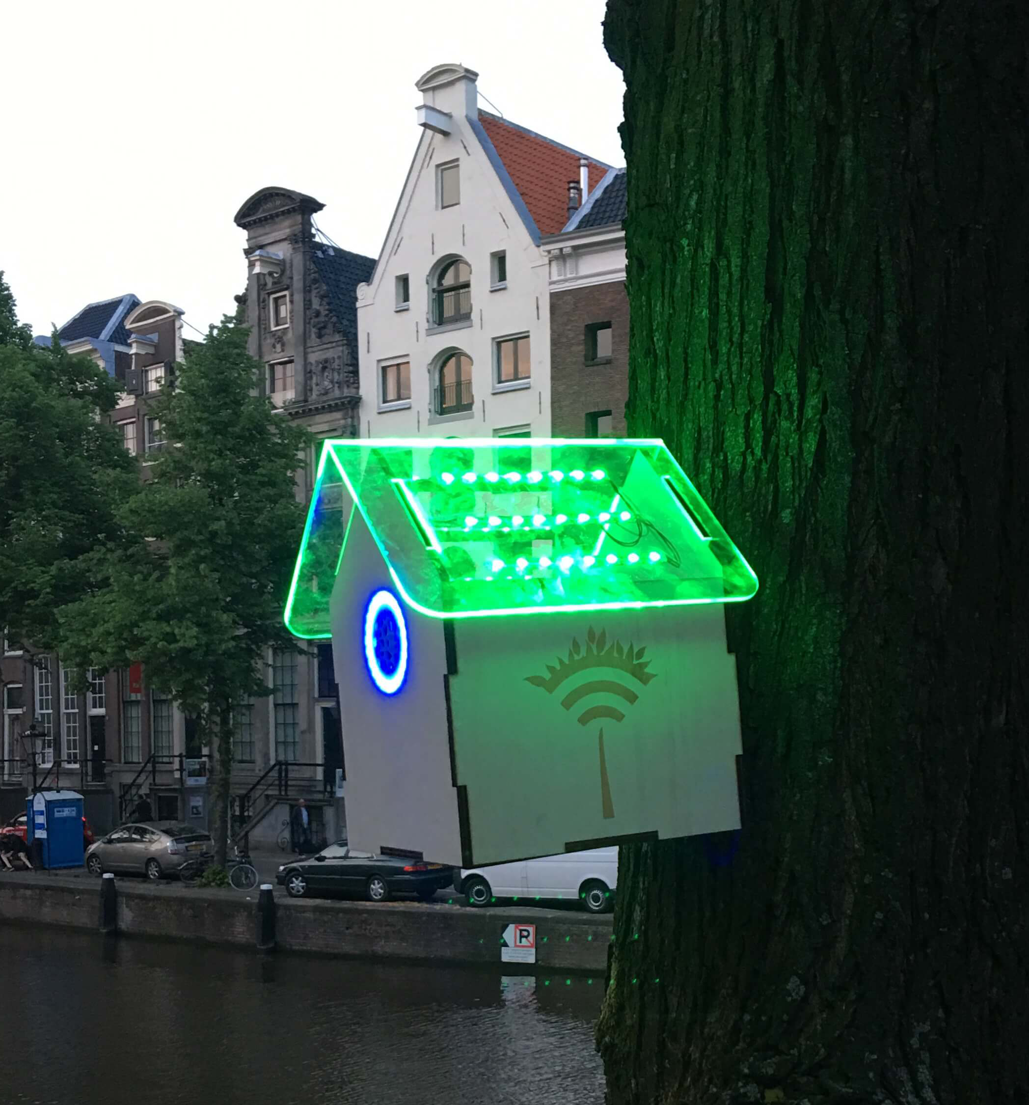 اینترنت رایگان روی درختان